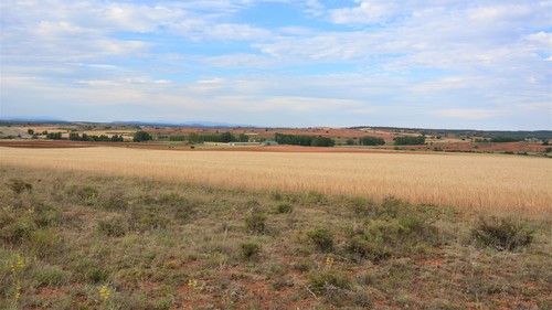 Terreno rstico en alquiler o venta en San Esteban de Gormaz