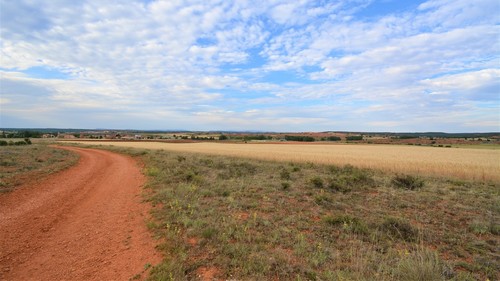 Terreno rstico en alquiler o venta en San Esteban de Gormaz