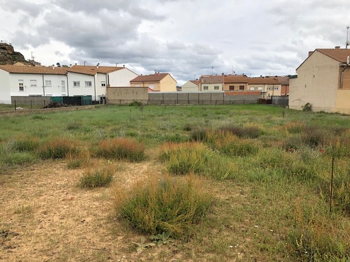 Solar en venta en Osma