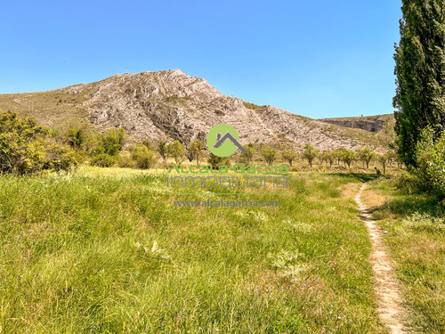 Terreno rstico en venta en El Burgo de Osma