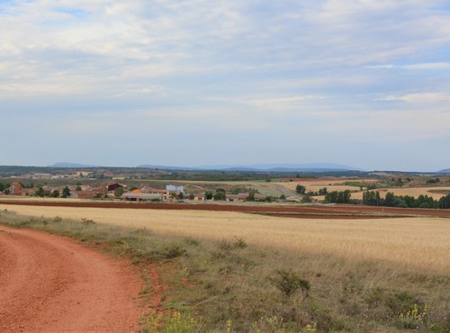 Terrenos rsticos en alquiler o venta en San Esteban de Gormaz