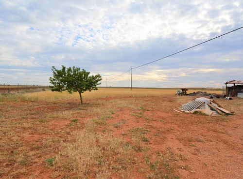Terrenos rsticos en alquiler o venta en San Esteban de Gormaz
