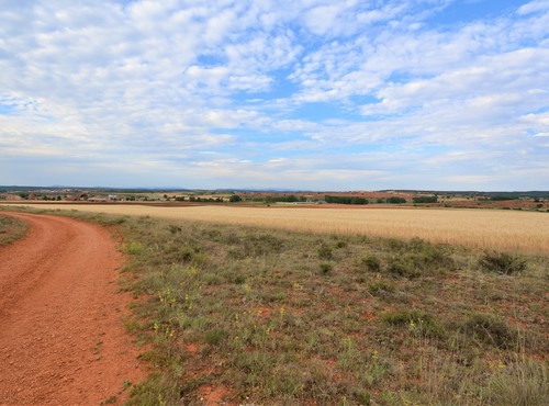 Terrenos rsticos en alquiler o venta en San Esteban de Gormaz