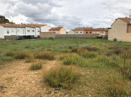 Solares en venta en Osma