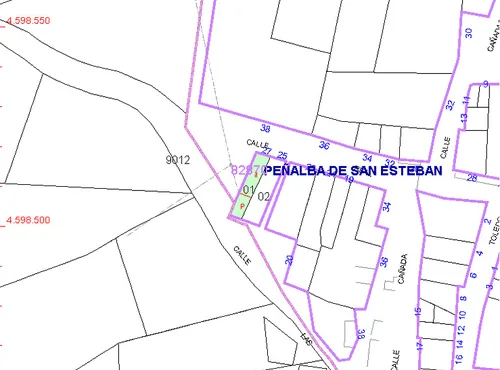 Casas o chalets en venta en Peñalba de San Esteban