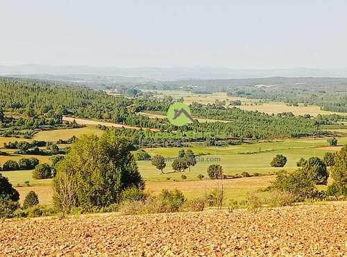 Casas o chalets en venta en Valdeavellano de Ucero