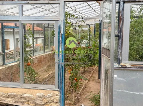 Casas o chalets en venta en Berlanga de Duero