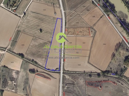 Terrenos rsticos en venta en San Esteban de Gormaz